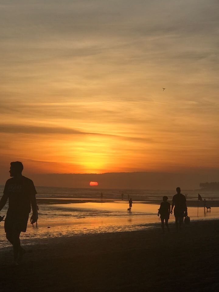 iphone2 4019